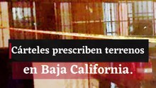 Cárteles prescriben terrenos.