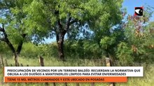 Preocupación de vecinos por un terreno baldío que puede ser un criadero de dengue