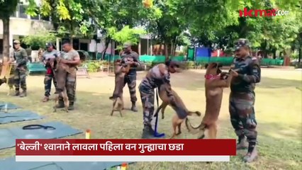 Lokmat Exclusive: १० वर्षांच्या मुलाची आई ८ राज्यातील पुरुषांमध्ये 'डॉग ट्रेनर' म्हणून वरचढ ठरली!