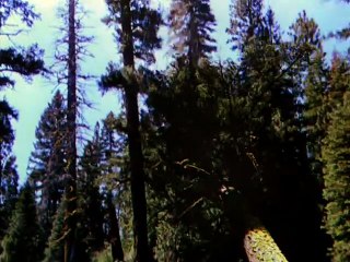 When Things Were Rotten  E08 - There Goes the Neighborhood