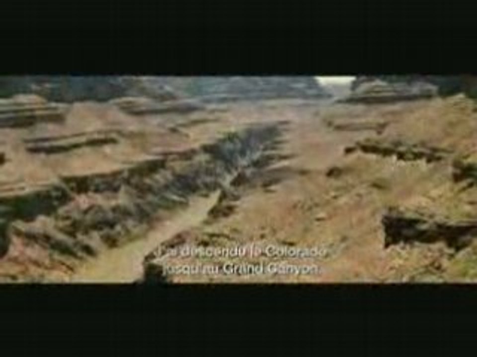Into the wild