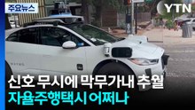 "신호 무시에 막무가내 추월까지"...'난폭 운전'(?) 자율주행택시 어쩌나 / YTN