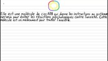 Une molécule de circARN pour un médicament contre l’anxiété. Le médicament est futuriste.