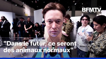 Ces chiens robots aux visages d’Elon Musk, Mark Zuckerberg ou Andy Warhol font sensation à une exposition d'art de Miami
