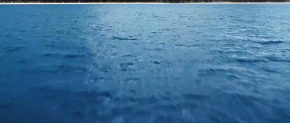 Lilo & Stitch Teaser DF