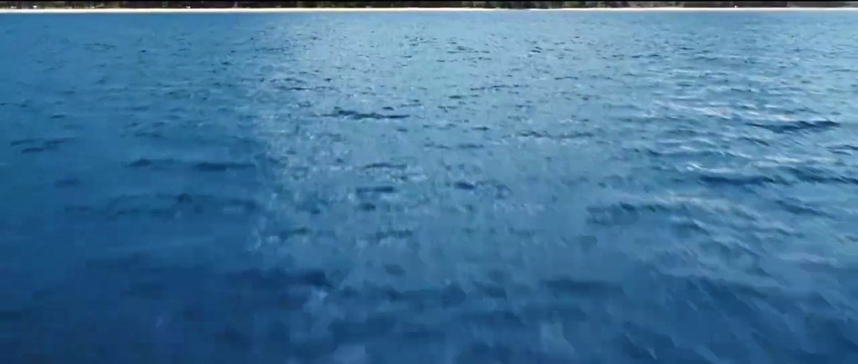 Lilo & Stitch Teaser DF