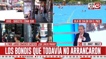 Luciano Fusaro: "Con los subsidios actuales, la tarifa debería duplicarse"