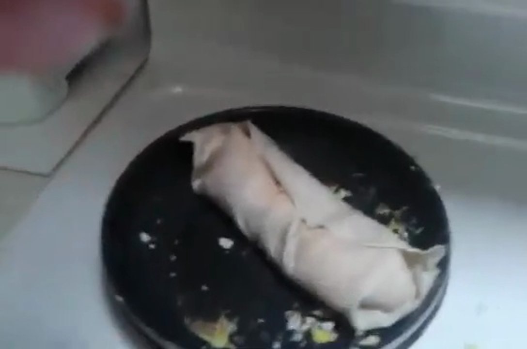 Burrito breakfast
