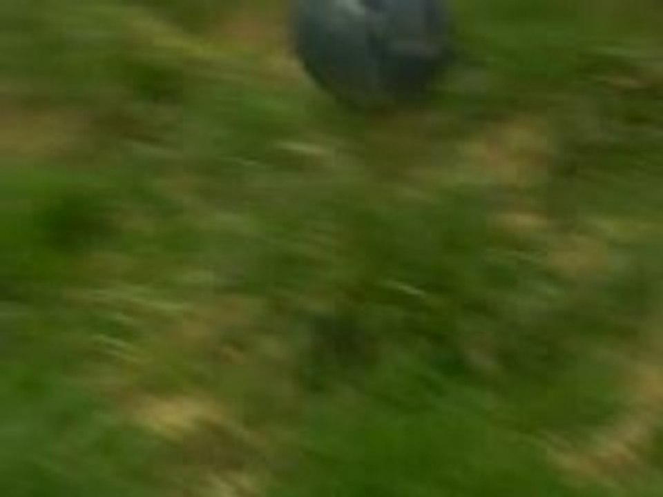 MOV02581