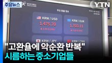 "고환율에 악순환 반복"...시름하는 중소기업들 / YTN