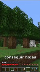¿como conseguir hojas en minecraft?