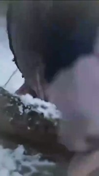 my five daughters and their mighty mothers / Leveling Up With Five Daughters