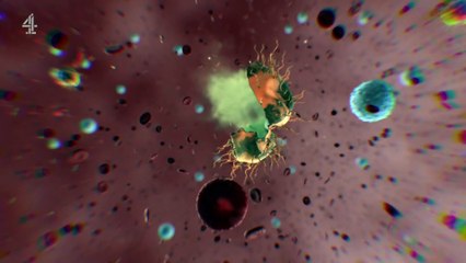 Cancer Detectives Finding the Cures S01E03