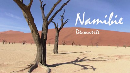 Namibie Découverte