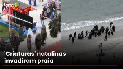 Criaturas ‘misteriosas’ invadem praia e causam curiosidade em Santa Catarina