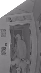 Upland Police Department capture a pair of burglars with Mickey in tow