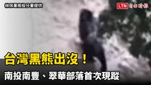 台灣黑熊出沒！南投南豐、翠華部落首次現蹤 鄰近茶園、露營區
