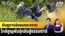 กัมพูชาปล่อยนกตะกรามใกล้สูญพันธุ์กลับสู่ธรรมชาติ | ทันโลก EXPRESS | 6 ธ.ค. 68