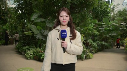 [날씨] 동장군 물러나고 추위 풀려...중부 중심 약한 비·눈 / YTN