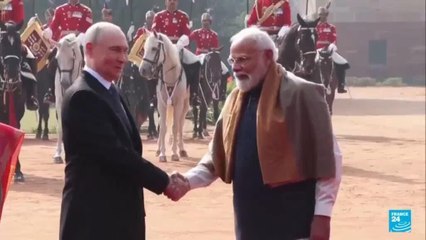 Putin y Modi refuerzan los lazos entre Rusia e India