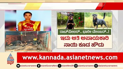 For Web Rotwheeler Dog Attack Death