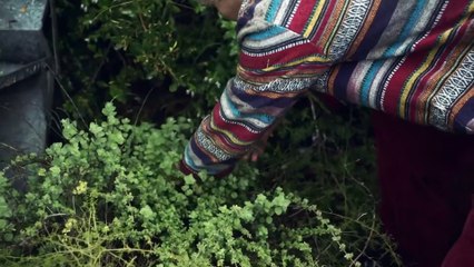 Foragers | movie | 2022 | Official Trailer