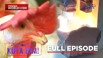 Bata, aksidenteng nasilaban ang isang sofa!; Palong ng manok, kinakain? | Dami Mong Alam, Kuya Kim!
