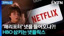 [자막뉴스] '106조 원'에 워너 브러더스 삼켰다...넷플릭스의 폭발적 질주 / YTN