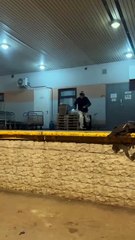 Skateboarder Accidentally Wipes Out a Delivery Driver - Skate Trick Gone Wrong