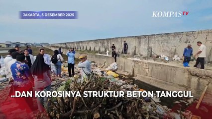 Nasib Tanggul Laut di Muara Baru Usai Viral Bocor, Warga Ungkap Fakta Mengejutkan!