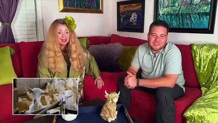 90 Day Fiance Pillow Talk The Other Way S07E12 (2025)