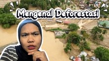 Mengenal Deforestasi