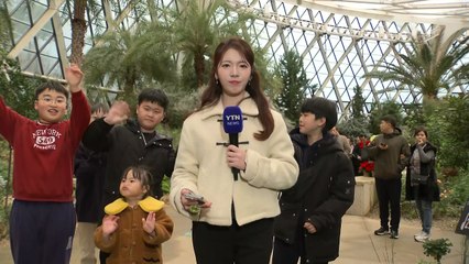 [날씨] 추위 누그러지고, 중부 비·눈 약간...실내 식물원 찾은 시민들 / YTN