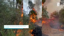 Fire at Willans Hill Reserve off Lake Albert Road at Kooringal