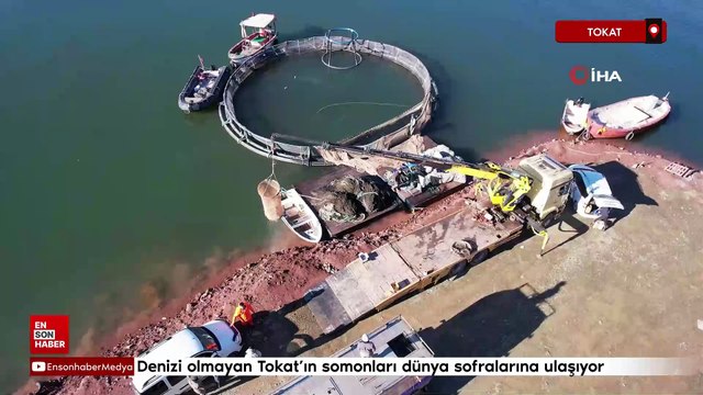 Denizi olmayan Tokat’ın somonları dünya sofralarına ulaşıyor