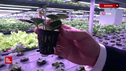 Batman'da eksi birinci katta 30 milyonluk "dikey tarım" yatırımı