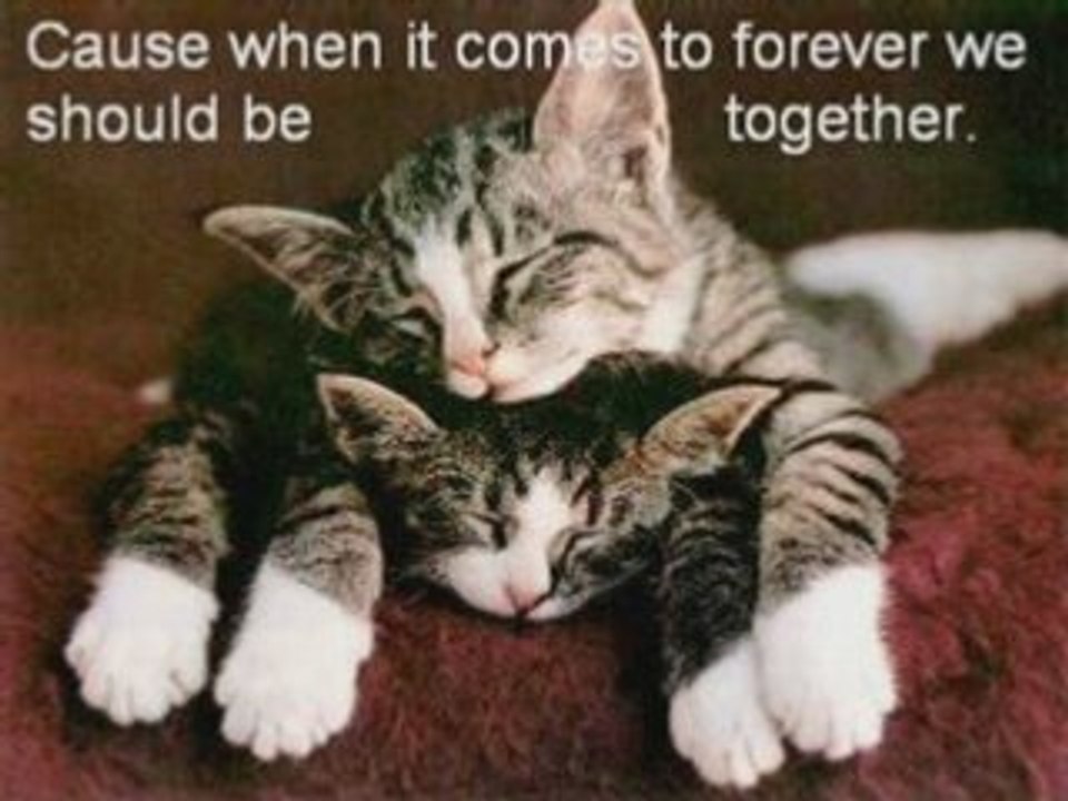 Rachael Starr - To Forever (Moonbeam Remix)