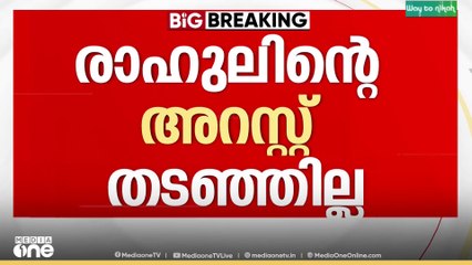 രാഹുലിന്റെ അറസ്റ്റ് തടയാതെ കോടതി; ഹരജി തിങ്കളാഴ്ച പരിഗണിക്കും