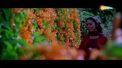 Tere Dil Mein Mujhe / Mohabbat (1997) /Udit Narayan, Kavita Krishnamurthy, Sanjay Kapoor, Madhuri Dixit