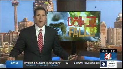 Jimmy Kimmel Live - Season 24 Episode 45 - Miley Cyrus, Cameron Crowe, Rufus Wainwright