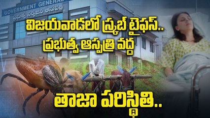 Scrub Typhus  కేసులతో విజయవాడలో అలజడి. Chigger Bite అంటే ఏంటి? | Oneindia Telugu