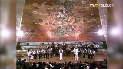 Achim Nica - Spectacol aniversare Radio 65 ani - TVR - 1993