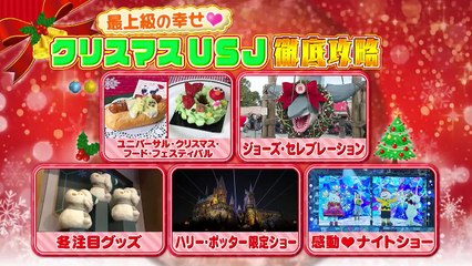 最上級の幸せクリスマスUSJ徹底攻略 2025