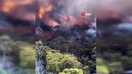 Avustralya’da orman yangınları: 16 ev küle döndü