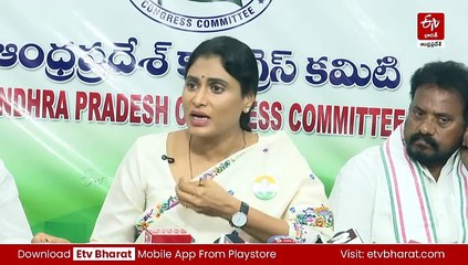 'విభజన హామీలపై పార్లమెంటులో నోరు విప్పండి' - రాష్ట్ర ఎంపీలకు వైఎస్ షర్మిల చురకలు