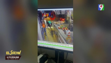 "Alerta" Los tigres haciendo de las suyas | El Show del Mediodía