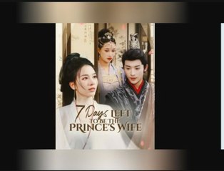 7 Days Left To The Princess Wife (2025) - FULL HD [Eng Sub]