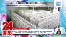 #KuyaKimAnoNa? Express (Dec. 2-6, 2025) - 14-ft na buwaya, nahuli sa Bataraza...| 24 Oras