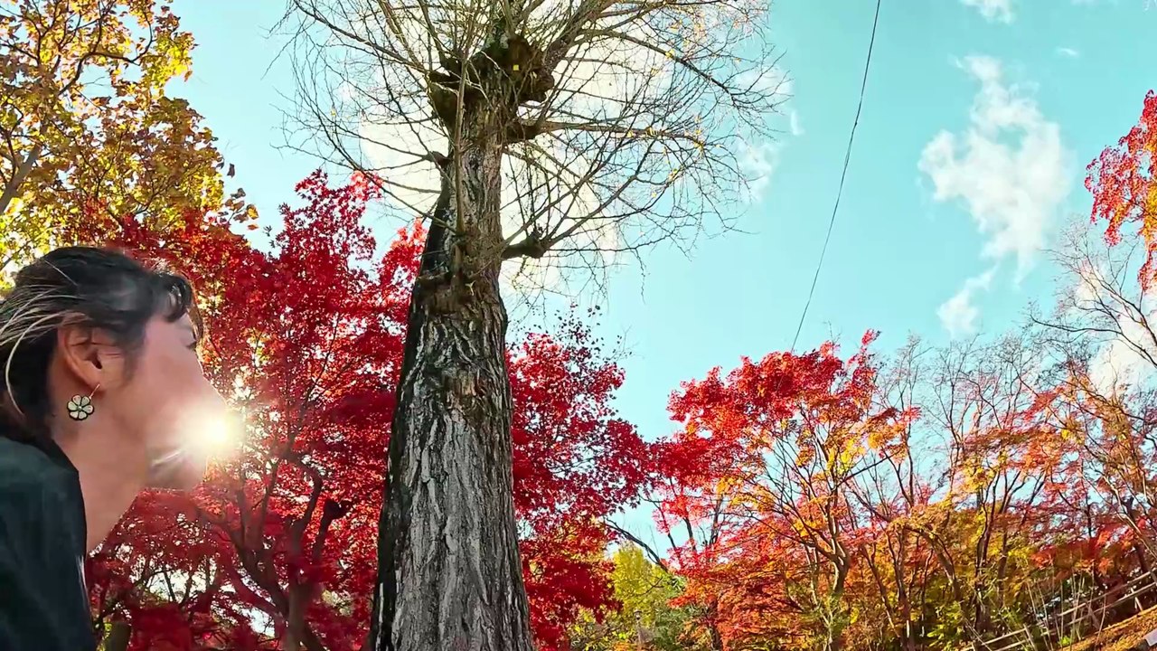 Promenade d’Automne en Kimono | Autumn Walk in Kimono | 風が運ぶ秋の物語