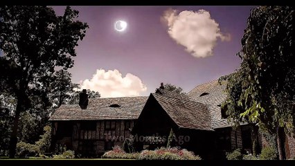 Love Damon and Bonnie Ship | The Vampire Diaries Edits